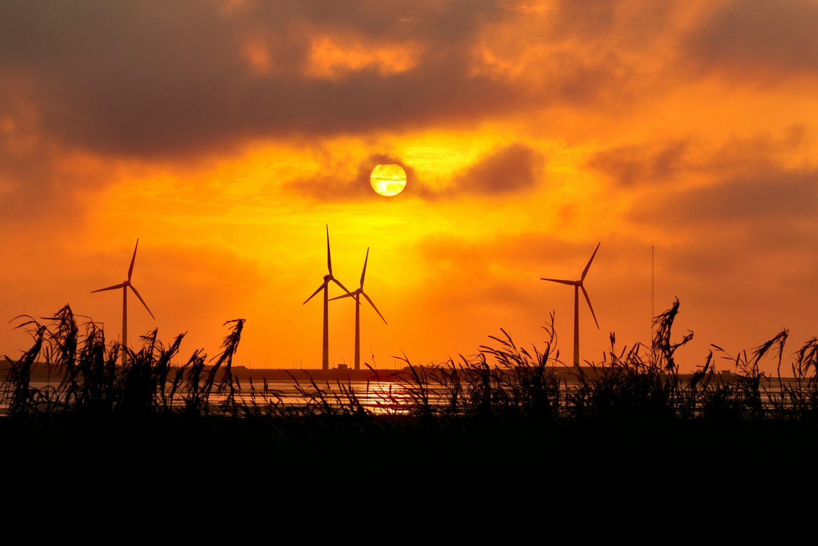 Renewable Energy